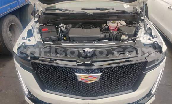 Buy Used Cadillac Escalade White Car in Cotonou in Benign Buy Used Cadillac Escalade White Car in Cotonou in Benign