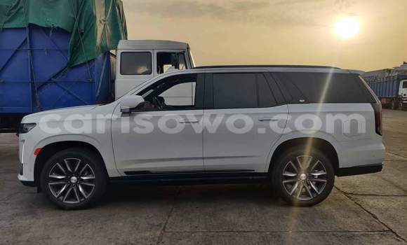 Buy Used Cadillac Escalade White Car in Cotonou in Benign Buy Used Cadillac Escalade White Car in Cotonou in Benign