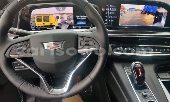 Buy Used Cadillac Escalade White Car in Cotonou in Benign Buy Used Cadillac Escalade White Car in Cotonou in Benign