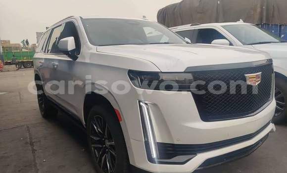 Buy Used Cadillac Escalade White Car in Cotonou in Benign Buy Used Cadillac Escalade White Car in Cotonou in Benign