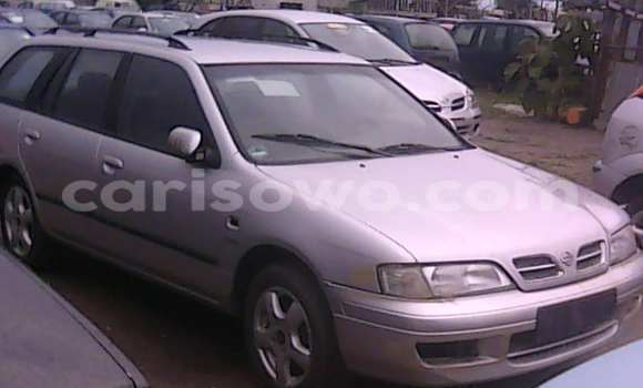 Acheter Occasion Voiture Nissan Primera Gris à Porto Novo, Benin Acheter Occasion Voiture Nissan Primera Gris à Porto Novo, Benin