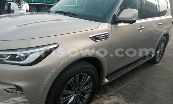 Buy Used Infinity Q45 Silver Car in Cotonou in Benign