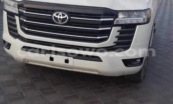 Buy New Toyota Land Cruiser Prado White Car in Cotonou in Benign