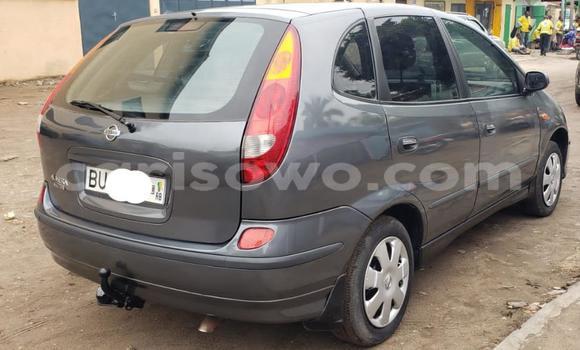 Buy Used Nissan Almera Tino Brown Car in Cotonou in Benign