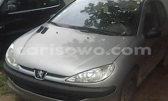 Acheter Occasion Voiture Peugeot 206 Gris à Porto Novo au Benin Acheter Occasion Voiture Peugeot 206 Gris à Porto Novo au Benin