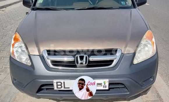 Ra Àlòkù Honda CR–V Brown Ọkọ̀ in Cotonou ni Benin
