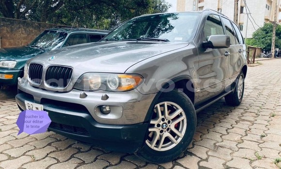 Buy Used BMW X5 Silver Car in Abomey Calavi in Benign