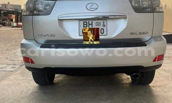 Buy Used Lexus RX 330 Silver Car in Cotonou in Benign