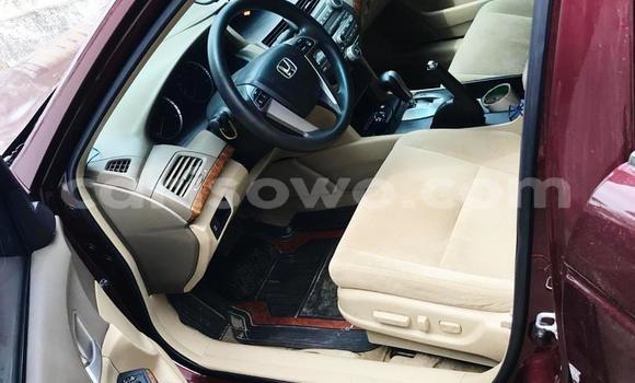Acheter Occasion Voiture Honda Accord Rouge à Abomey Calavi, Benin Acheter Occasion Voiture Honda Accord Rouge à Abomey Calavi, Benin