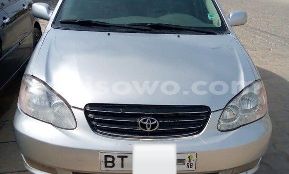 Sayi Na hannu Toyota Corolla Azurfa Mota in Cotonou a Benin Sayi Na hannu Toyota Corolla Azurfa Mota in Cotonou a Benin