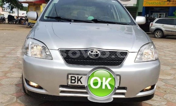 Ra Àlòkù Toyota Corolla Silver Ọkọ̀ in Cotonou ni Benin