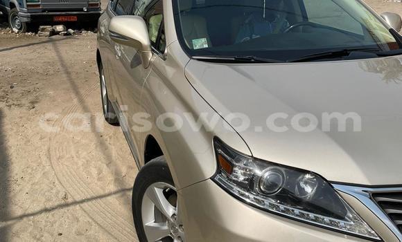 Buy Used Lexus RX 350 Brown Car in Cotonou in Benign