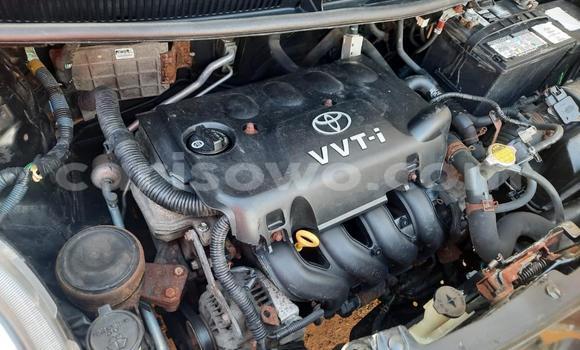 Sayi Na hannu Toyota Yaris Brown Mota in Cotonou a Benin Sayi Na hannu Toyota Yaris Brown Mota in Cotonou a Benin