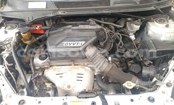 Acheter Occasion Voiture Toyota RAV4 Gris à Cotonou, Benin Acheter Occasion Voiture Toyota RAV4 Gris à Cotonou, Benin