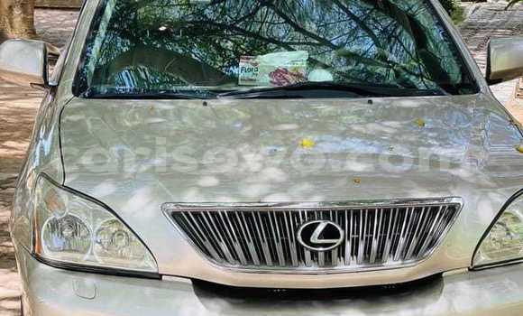 Acheter Occasion Voiture Lexus RX 330 Gris à Cotonou, Benin