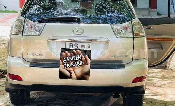 Sayi Na hannu Lexus RX 330 Azurfa Mota in Cotonou a Benin Sayi Na hannu Lexus RX 330 Azurfa Mota in Cotonou a Benin