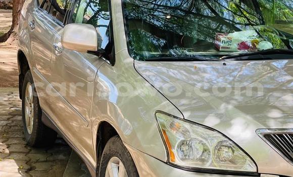 Sayi Na hannu Lexus RX 330 Azurfa Mota in Cotonou a Benin Sayi Na hannu Lexus RX 330 Azurfa Mota in Cotonou a Benin