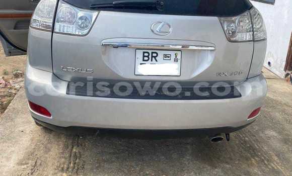 Buy Used Lexus RX 330 Silver Car in Cotonou in Benign