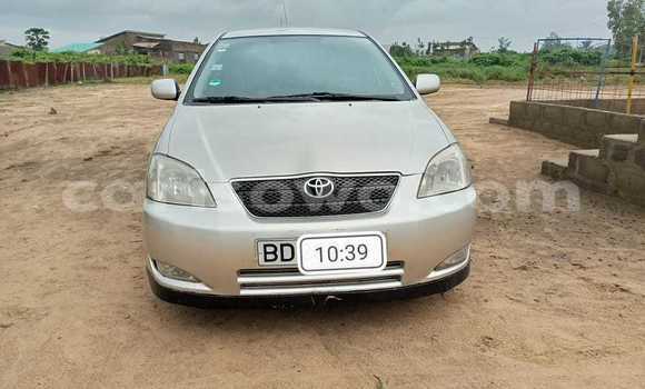 Acheter Occasion Voiture Toyota Corolla Gris à Cotonou, Benin