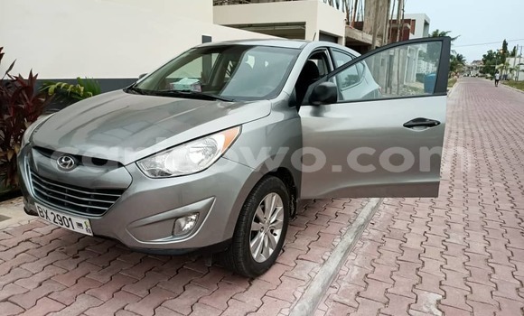 Acheter Occasion Voiture Hyundai Tucson Beige à Cotonou, Benin Acheter Occasion Voiture Hyundai Tucson Beige à Cotonou, Benin