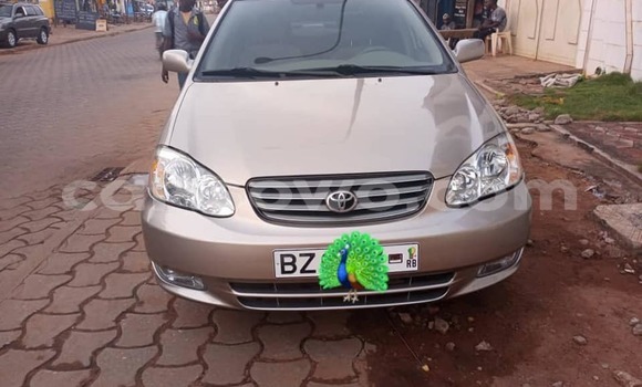 Acheter Occasion Voiture Toyota Corolla Marron à Cotonou, Benin Acheter Occasion Voiture Toyota Corolla Marron à Cotonou, Benin