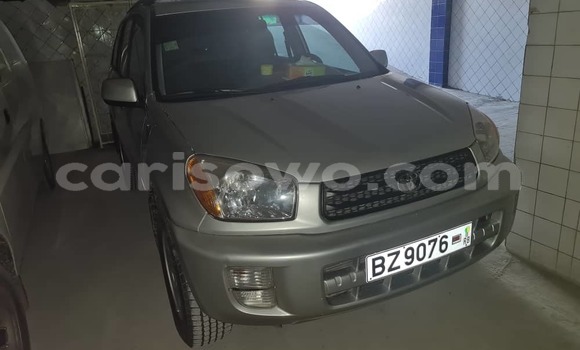 Acheter Occasion Voiture Toyota RAV4 Gris à Cotonou, Benin