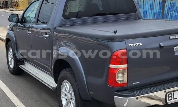 Acheter Occasion Voiture Toyota Hilux Bleu à Cotonou, Benin