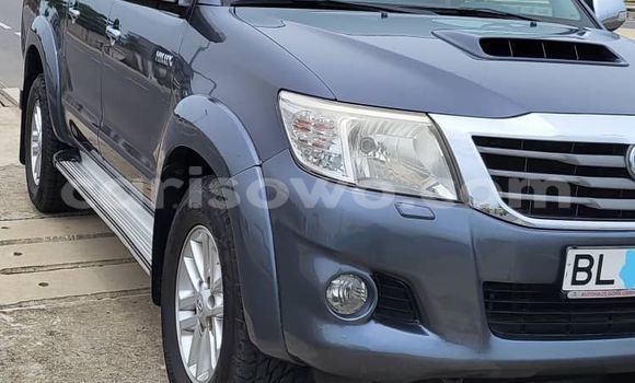 Sayi Na hannu Toyota Hilux Blue Mota in Cotonou a Benin Sayi Na hannu Toyota Hilux Blue Mota in Cotonou a Benin