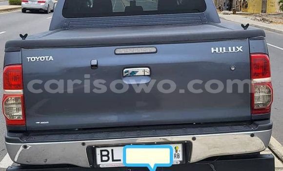 Sayi Na hannu Toyota Hilux Blue Mota in Cotonou a Benin Sayi Na hannu Toyota Hilux Blue Mota in Cotonou a Benin