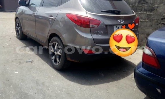 Buy Used Hyundai Tucson Silver Car in Cotonou in Benign Buy Used Hyundai Tucson Silver Car in Cotonou in Benign