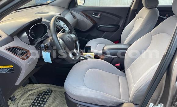 Buy Used Hyundai Tucson Silver Car in Cotonou in Benign Buy Used Hyundai Tucson Silver Car in Cotonou in Benign