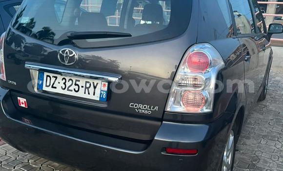 Buy Used Toyota Corolla Verso Beige Car in Abomey Calavi in Benign