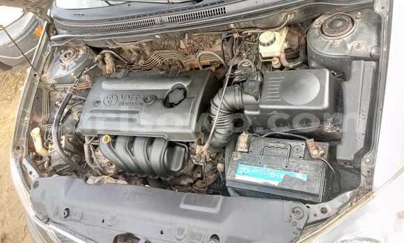 Sayi Na hannu Toyota Corolla Brown Mota in Cotonou a Benin Sayi Na hannu Toyota Corolla Brown Mota in Cotonou a Benin