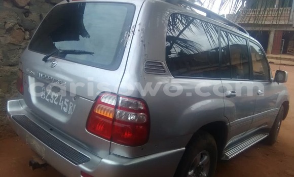 Acheter Occasion Voiture Toyota Land Cruiser Gris à Cotonou, Benin