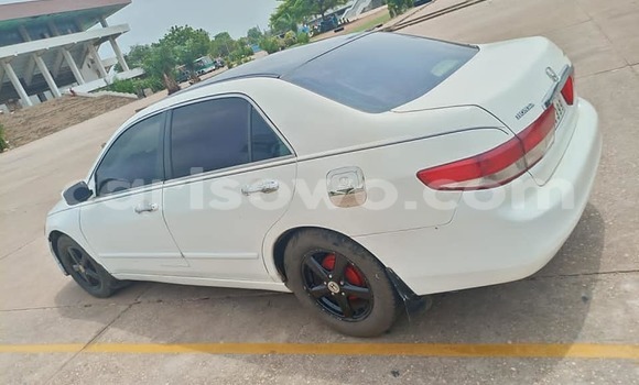 Acheter Occasion Voiture Honda Accord Blanc à Cotonou, Benin