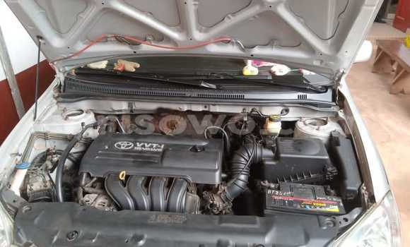 Acheter Occasion Voiture Toyota Corolla Gris à Porto Novo, Benin Acheter Occasion Voiture Toyota Corolla Gris à Porto Novo, Benin