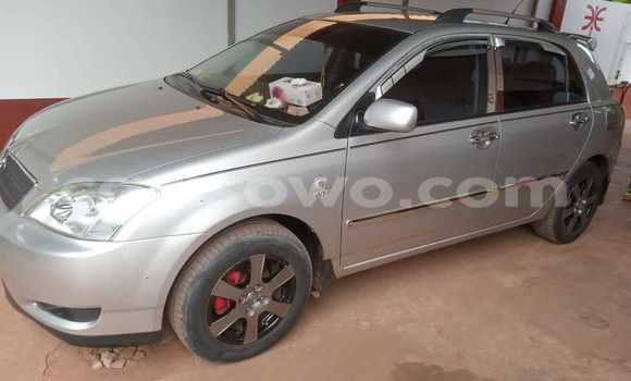 Acheter Occasion Voiture Toyota Corolla Gris à Porto Novo, Benin Acheter Occasion Voiture Toyota Corolla Gris à Porto Novo, Benin