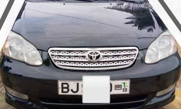 Acheter Occasion Voiture Toyota Corolla Noir à Cotonou, Benin