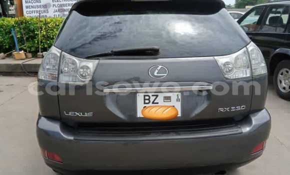 Acheter Occasion Voiture Lexus RX 330 Gris à Cotonou, Benin Acheter Occasion Voiture Lexus RX 330 Gris à Cotonou, Benin