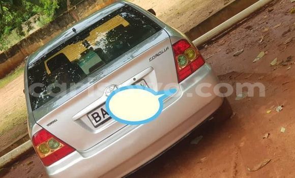 Sayi Na hannu Toyota Corolla Azurfa Mota in Cotonou a Benin
