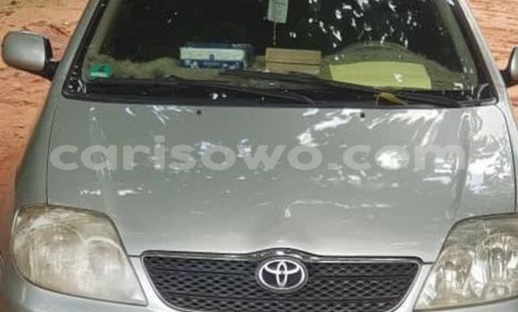 Acheter Occasion Voiture Toyota Corolla Gris à Cotonou, Benin Acheter Occasion Voiture Toyota Corolla Gris à Cotonou, Benin