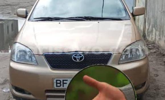 Sayi Na hannu Toyota Corolla Brown Mota in Cotonou a Benin