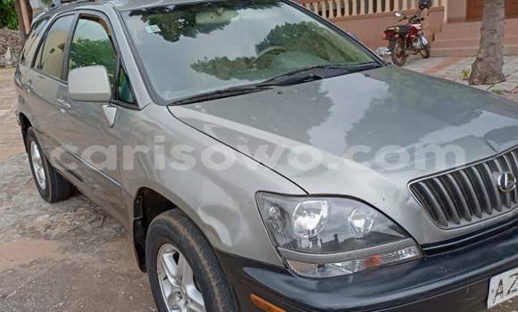 Sayi Na hannu Lexus RX 300 Sauran Mota in Cotonou a Benin