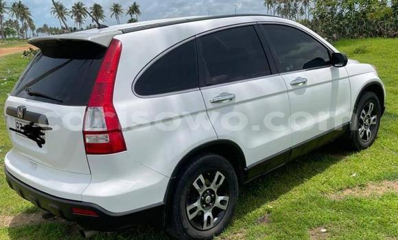 Buy Used Honda CR–V White Car in Cotonou in Benign
