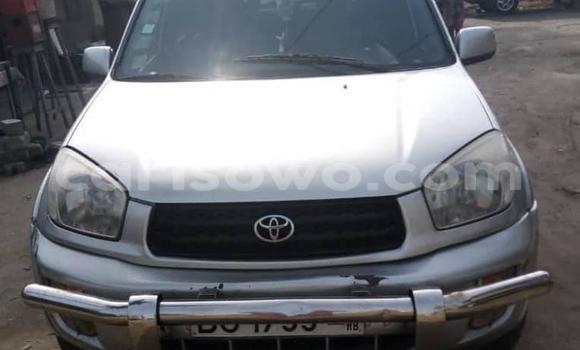 Buy Used Toyota RAV4 Silver Car in Cotonou in Benign
