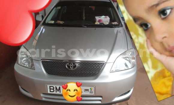 Buy Used Toyota Corolla Silver Car in Porto Novo in Benign
