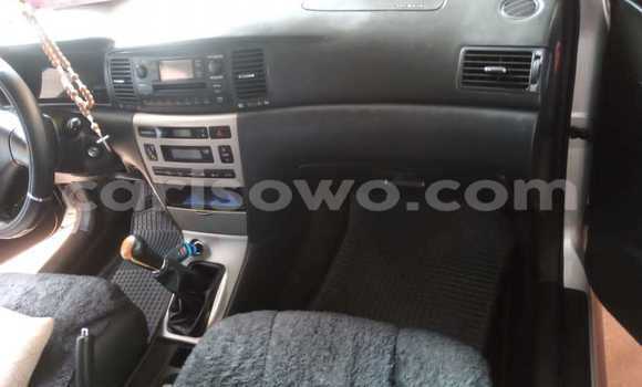 Acheter Occasion Voiture Toyota Corolla Gris à Porto Novo, Benin Acheter Occasion Voiture Toyota Corolla Gris à Porto Novo, Benin