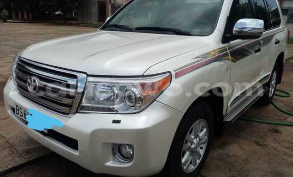 Acheter Occasion Voiture Toyota Land Cruiser Blanc à Porto Novo, Benin Acheter Occasion Voiture Toyota Land Cruiser Blanc à Porto Novo, Benin