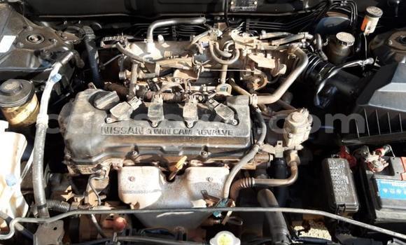 Acheter Occasion Voiture Nissan Almera Gris à Cotonou, Benin Acheter Occasion Voiture Nissan Almera Gris à Cotonou, Benin