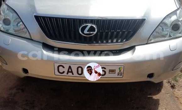 Buy Used Lexus RX 330 Silver Car in Cotonou in Benign